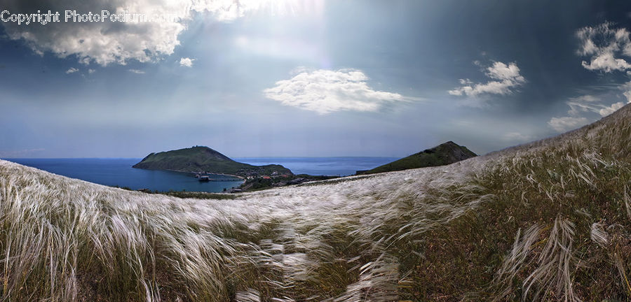 Coast, Cove, Outdoors, Sea, Water, Field, Grass
