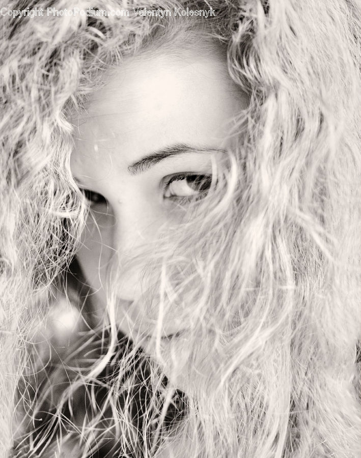 Blonde, Female, Person, Woman, Portrait, Girl