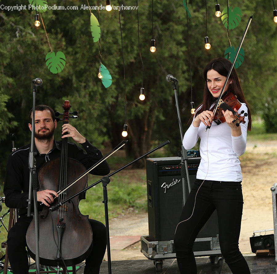 Human, People, Person, Cello, Fiddle, Musical Instrument, Violin