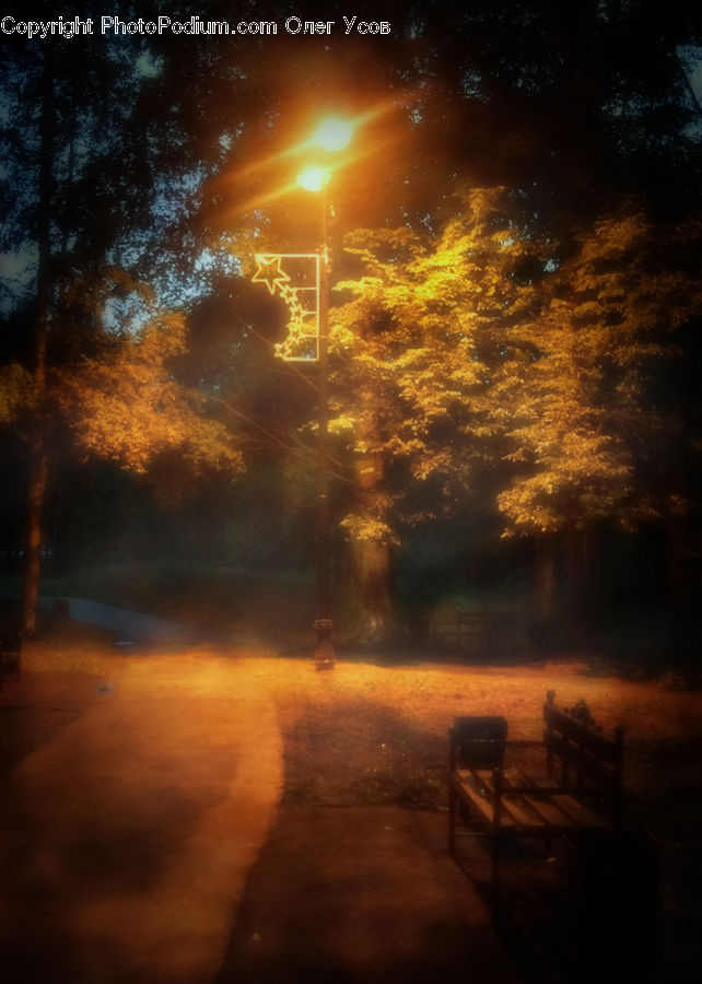 Flare, Light, Bench, Dirt Road, Gravel, Road, Chair