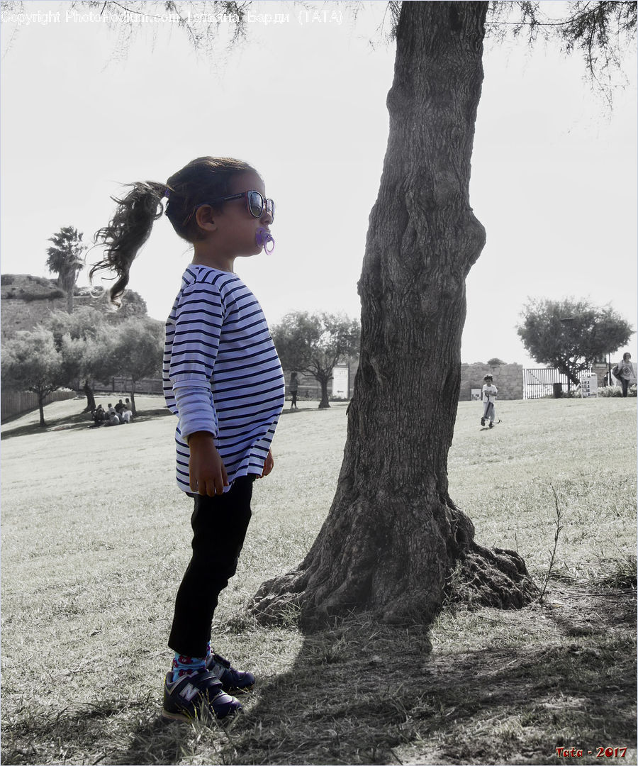 Human, People, Person, Field, Plant, Tree, Oak