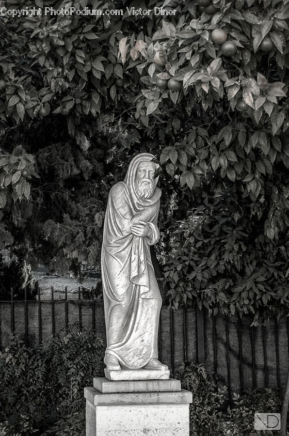 Tomb, Ivy, Plant, Vine, Chair, Furniture, Art