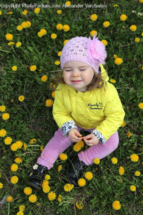 Human, People, Person, Dandelion, Flower, Plant, Flora