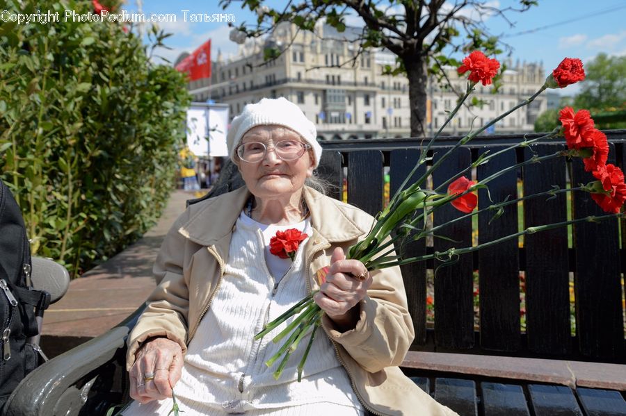 People, Person, Human, Blossom, Carnation, Flower, Plant