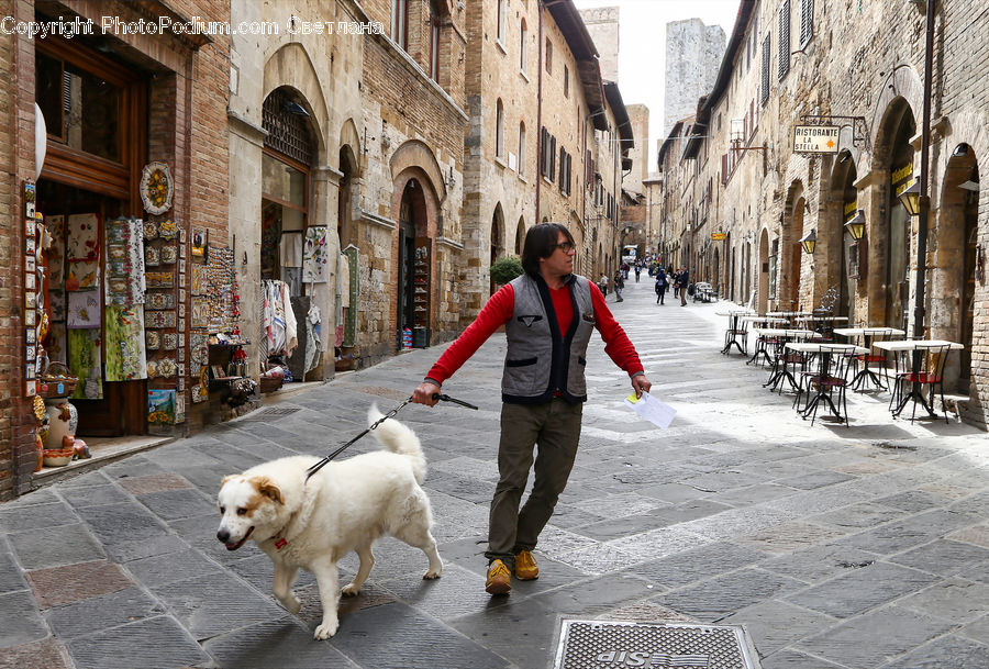 Human, People, Person, Animal, Canine, Dog, Eskimo Dog