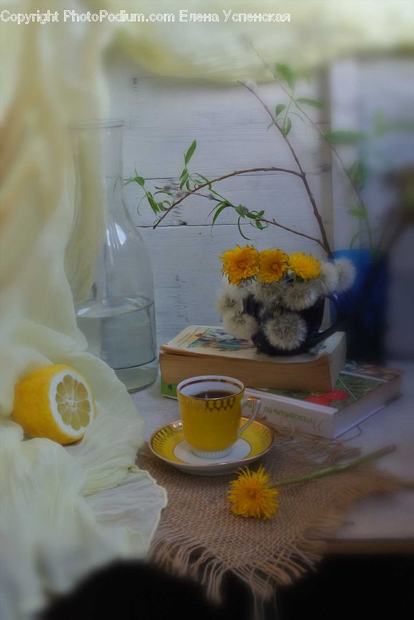 Plant, Potted Plant, Cup, Beverage, Drink, Flower, Flower Arrangement