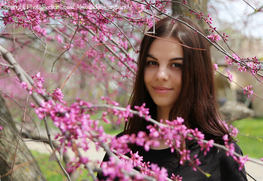 People, Person, Human, Flower, Mimosa, Plant, Female