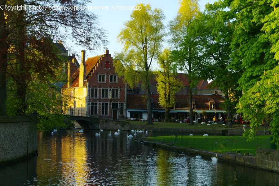 Canal, Outdoors, River, Water, Pond, Building, Housing