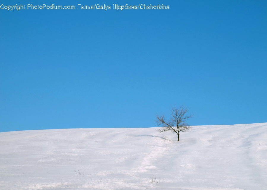 Ice, Outdoors, Snow, Plant, Tree, Plateau, Landscape