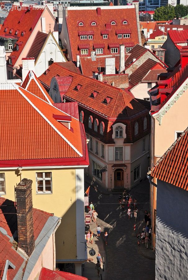 Roof, Tile Roof, Asphalt, Tarmac, Aerial View, Building, Downtown