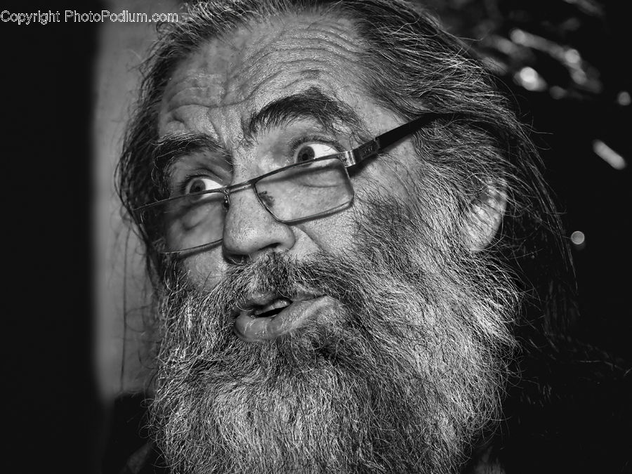 Beard, Hair, Person, Portrait, Head