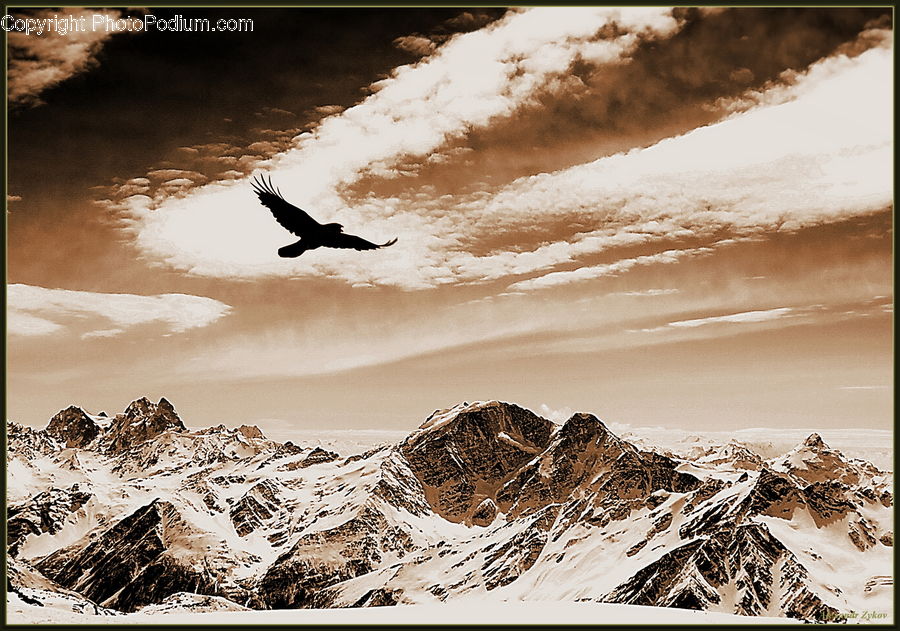 Crest, Mountain, Outdoors, Peak, Bird, Blackbird, Crow