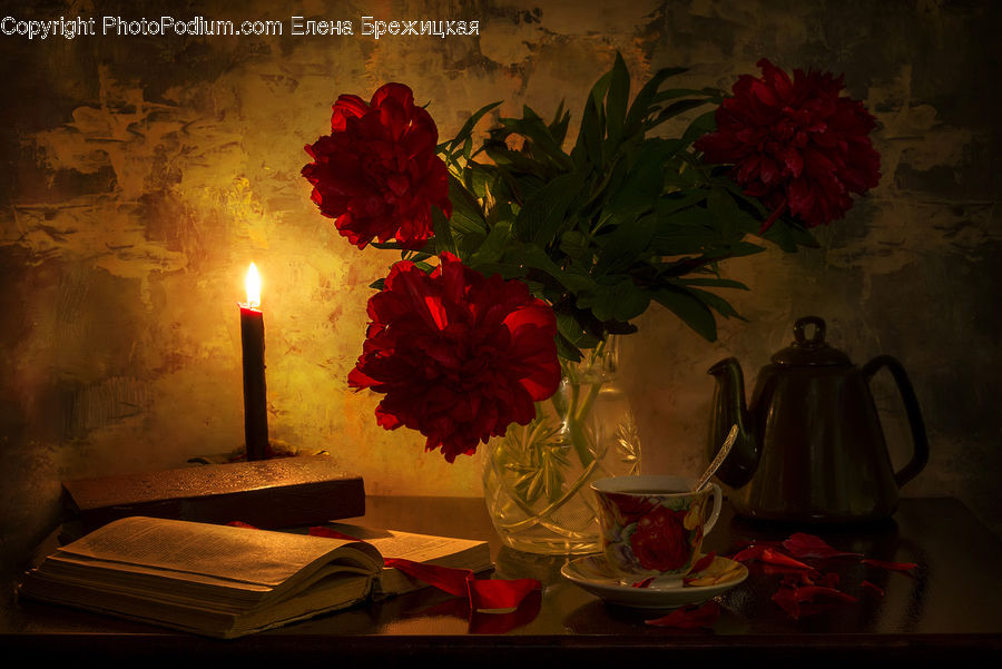 Pot, Pottery, Teapot, Blossom, Flower, Peony, Plant