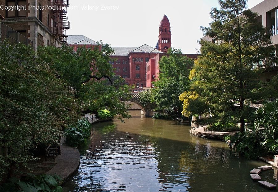 Canal, Outdoors, River, Water, Forest, Jungle, Rainforest