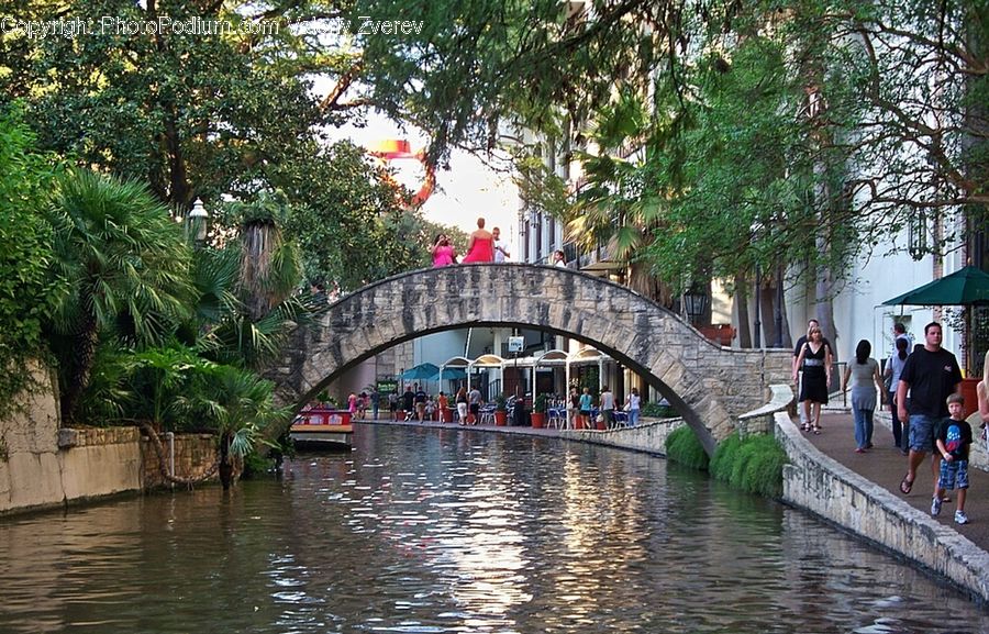 Plant, Potted Plant, Canal, Outdoors, River, Water, Flood
