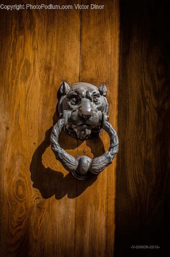 Art, Gargoyle, Statue, Bling