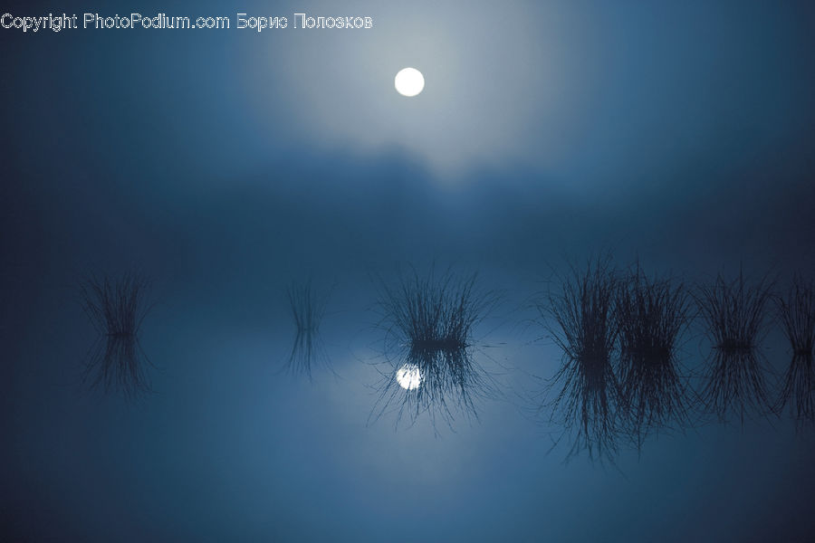 Astronomy, Full Moon, Night