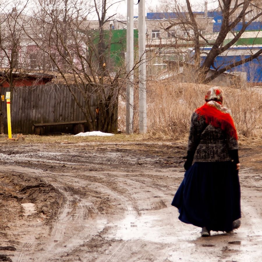 Back, Dirt Road, Gravel, Road, Bird, Stork, Robe