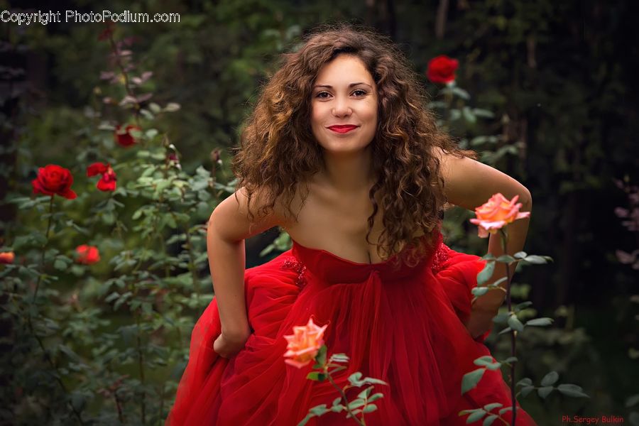 Human, People, Person, Blossom, Flower, Plant, Rose