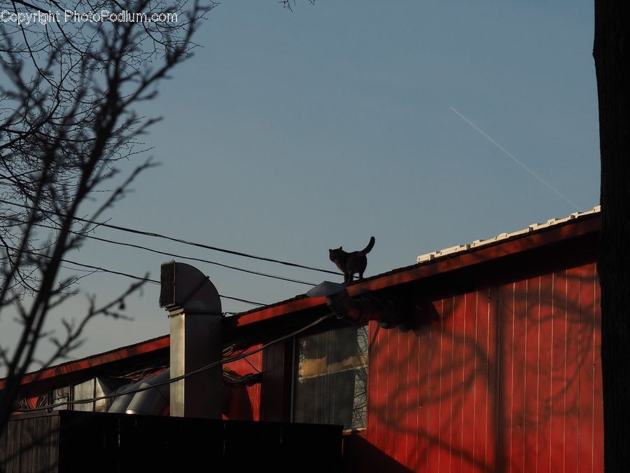 Bird, Blackbird, Crow, Dawn, Dusk, Red Sky, Sky