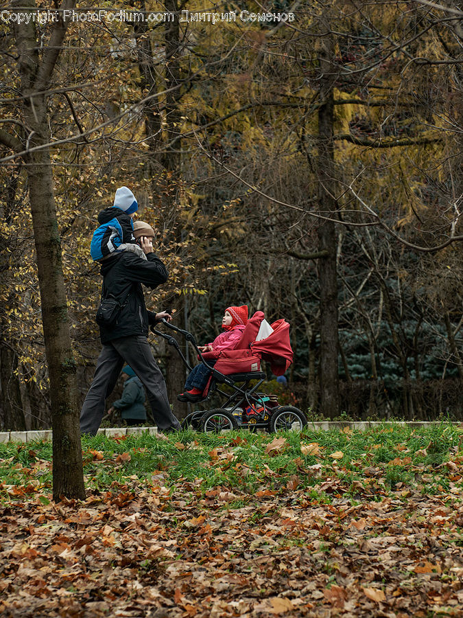 People, Person, Human, Leisure Activities, Walking, Outdoors, Forest