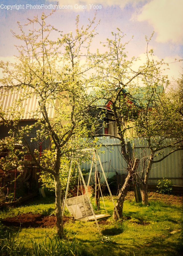 Playground, Swing, Patio, Pergola, Porch, Plant, Tree