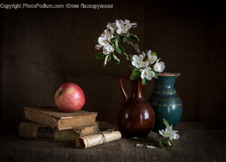 Jar, Porcelain, Vase, Blossom, Flora, Flower, Plant