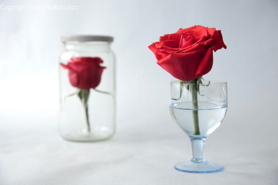 Glass, Goblet, Blossom, Flower, Plant, Rose, Beverage