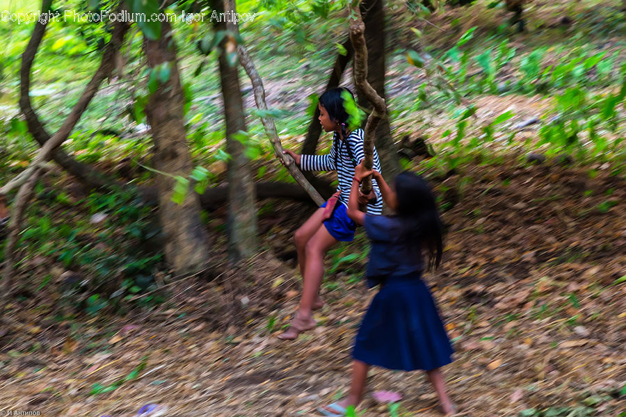 People, Person, Human, Forest, Vegetation, Jungle, Grove