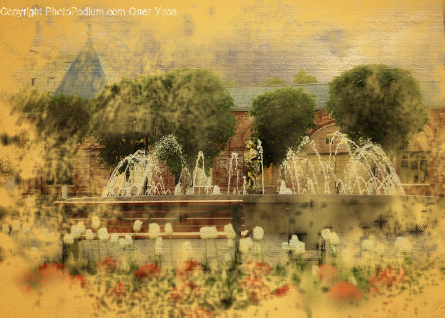 Fountain, Water, Plant, Weed, Field, Grass, Grassland