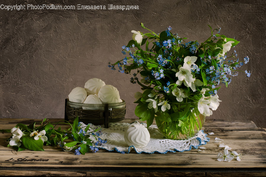 Plant, Potted Plant, People, Person, Human, Floral Design, Flower