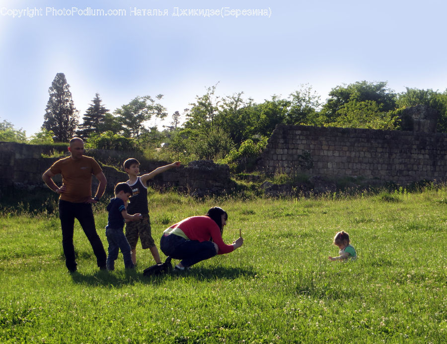 Outdoors, Park, Field, Grass, Grassland, Land, Plant