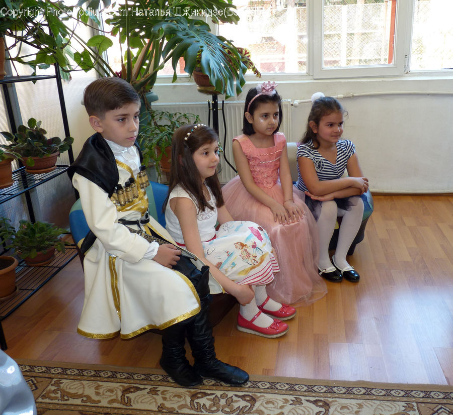 Plant, Potted Plant, People, Person, Human, Bridesmaid, Bonsai