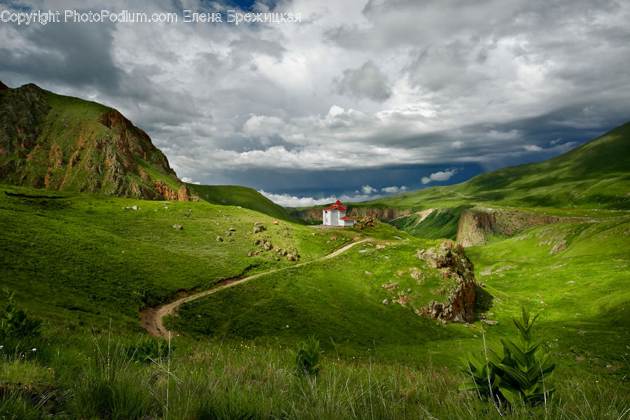 Field, Grass, Grassland, Land, Outdoors, Algae, Moss