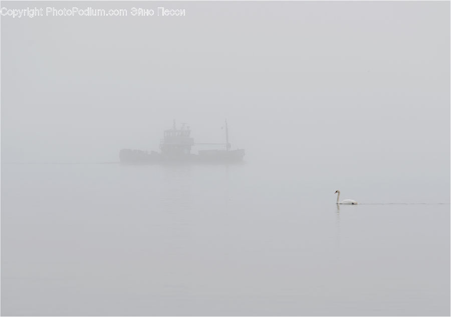 Fog, Outdoors, Sea, Water