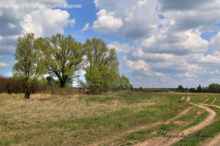 Dirt Road, Gravel, Road, Field, Grass, Grassland, Land