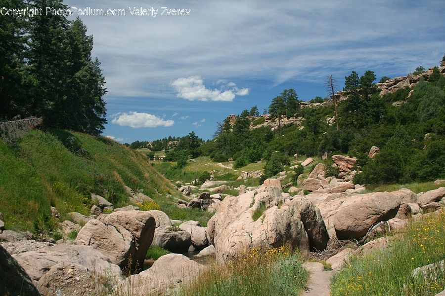 Rock, Outdoors, Bush, Plant, Vegetation, Rubble, Nature