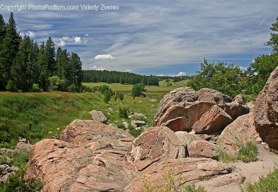 Rock, Outdoors, Wilderness, Ruins, Bush, Plant, Vegetation