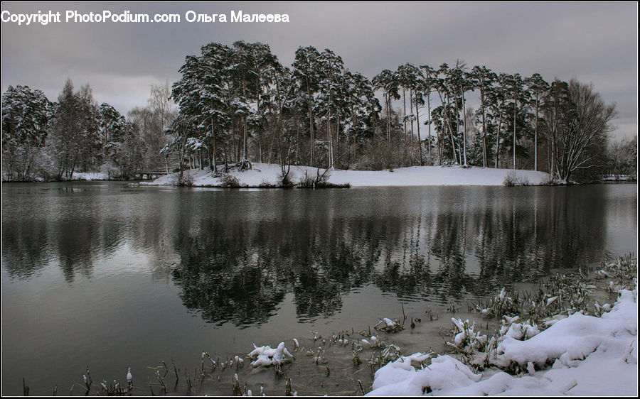Ice, Outdoors, Snow, Bird, Grouse, Ptarmigan, Pond