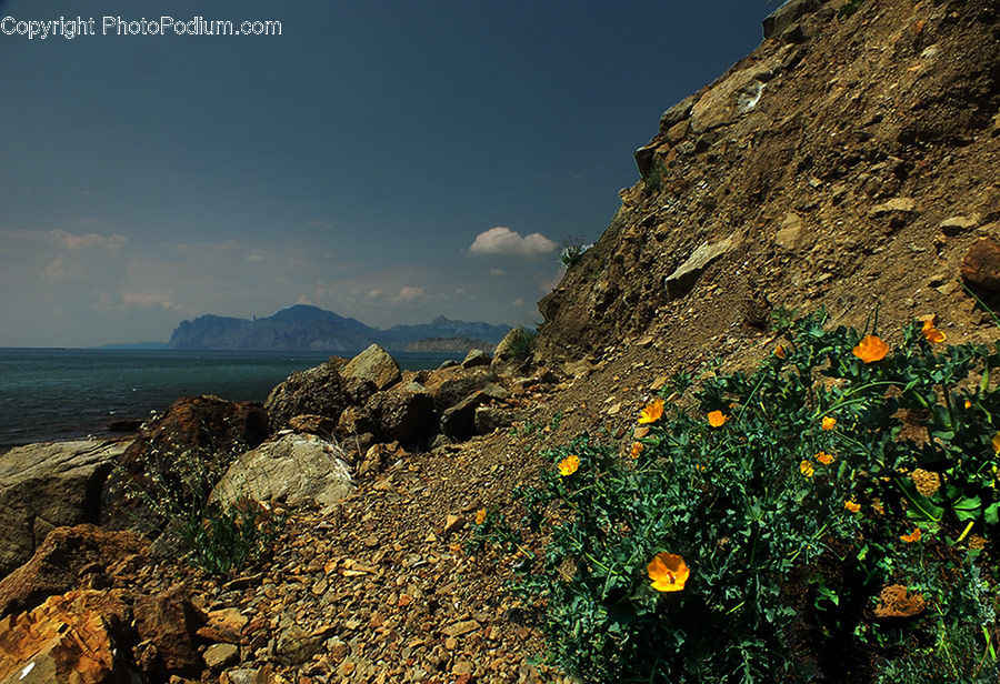 Pumpkin, Squash, Vegetable, Cliff, Outdoors, Citrus Fruit, Fruit