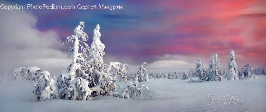 Frost, Ice, Outdoors, Snow, Alps, Crest, Mountain