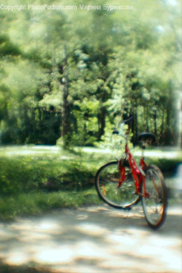 Bicycle, Bike, Vehicle, Motor, Motorcycle, Moped, Motor Scooter