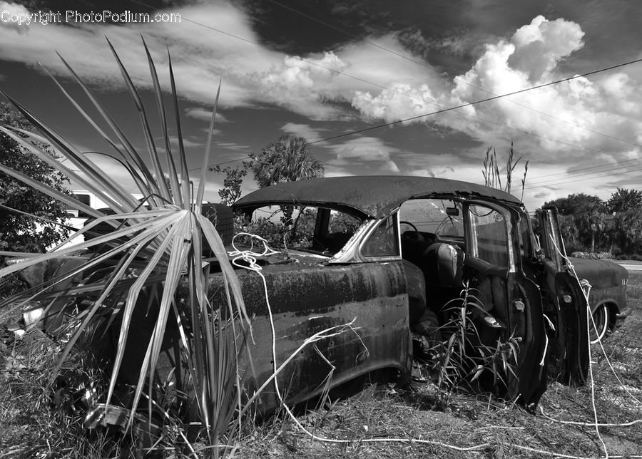 Tractor, Vehicle, Rust, Automobile, Car, Sedan, Gazebo