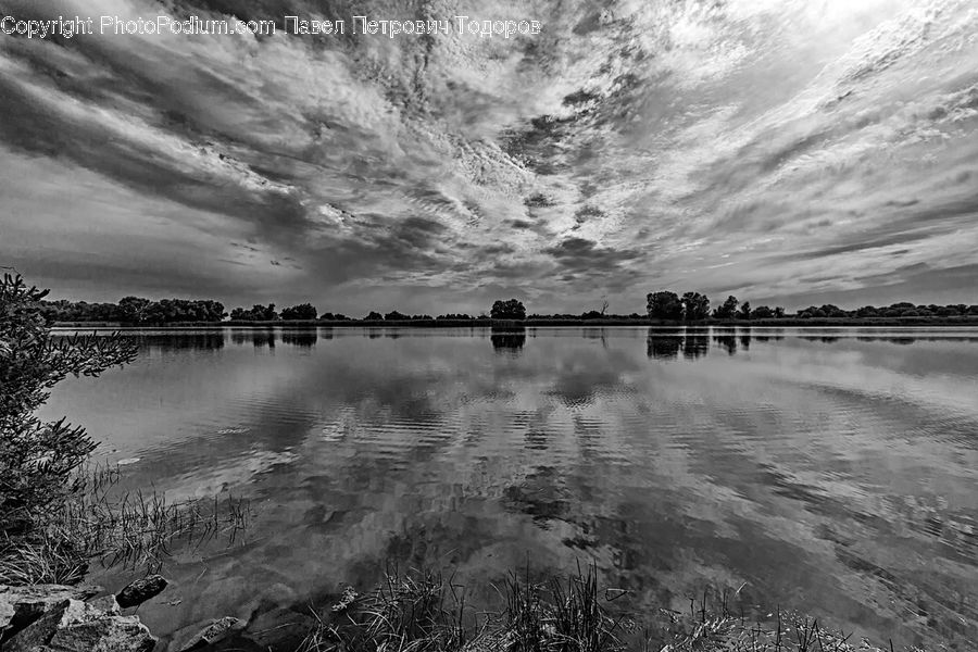 Flood, Water, Landscape, Nature, Scenery, Plant, Tree