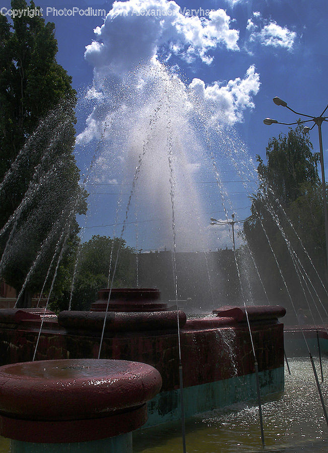 Fountain, Water, Conifer, Fir, Plant, Tree, Forest