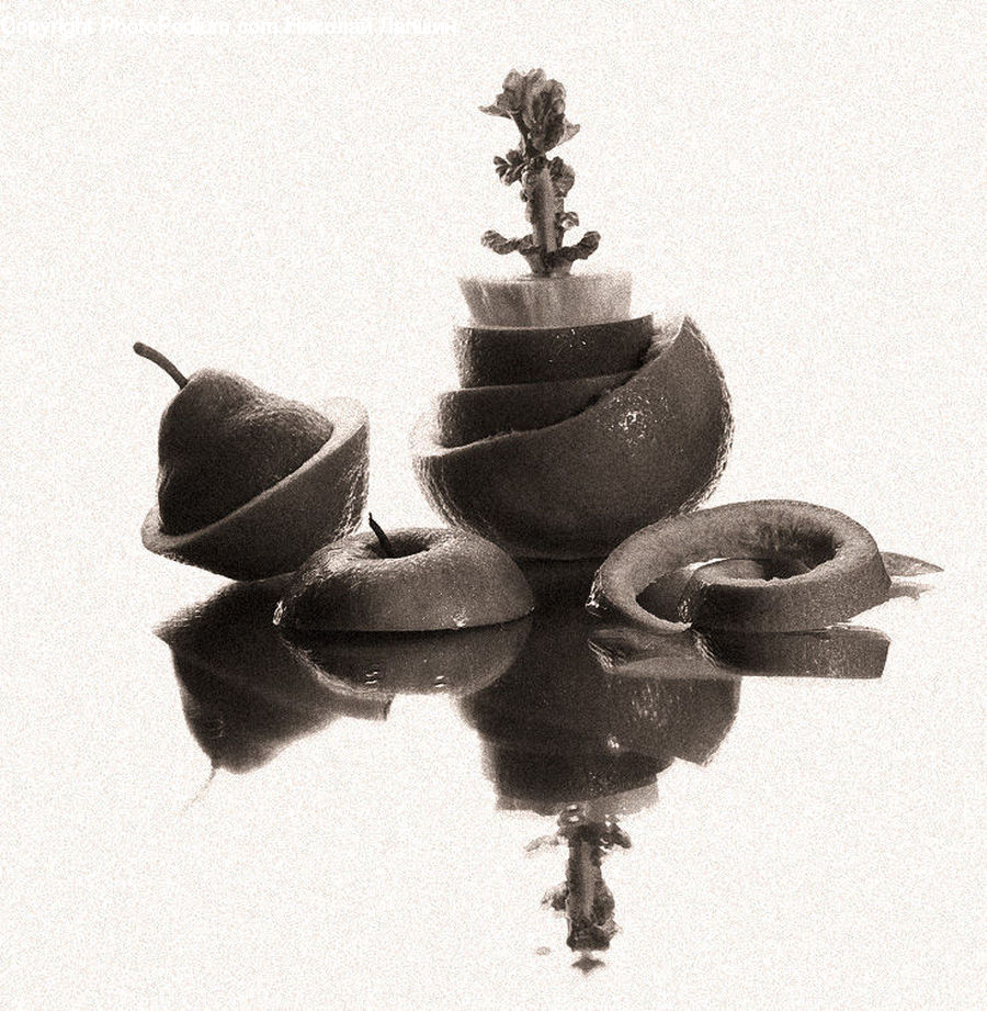 Bonsai, Plant, Potted Plant, Tree, Art, Sculpture, Statue