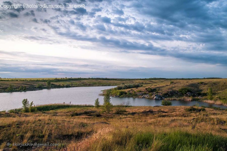 Field, Grass, Grassland, Land, Outdoors, Cabin, Hut