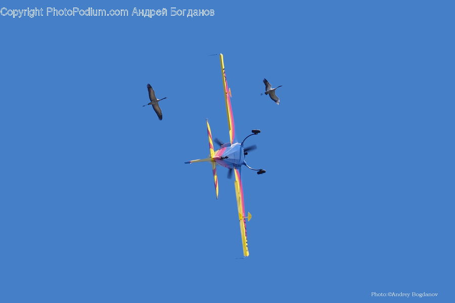 Aircraft, Airplane, Airliner, Flight, Jet, Biplane