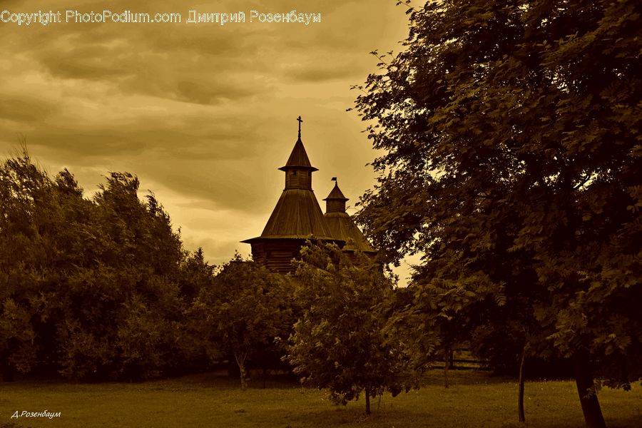 Architecture, Bell Tower, Clock Tower, Tower, Plant, Tree, Church