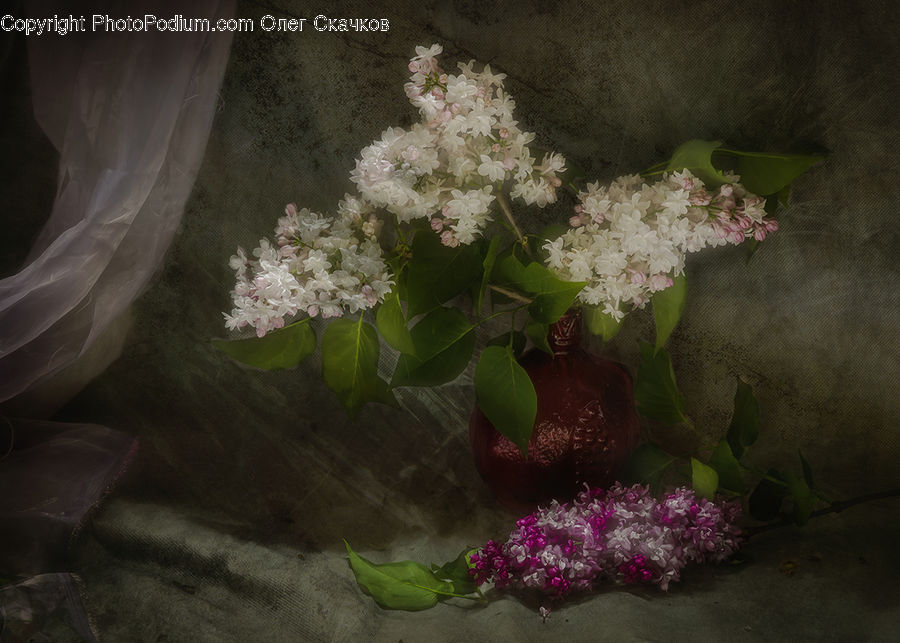 Blossom, Flora, Flower, Plant, Flower Arrangement, Flower Bouquet, Cherry Blossom